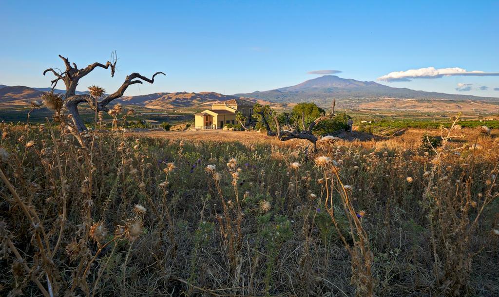 Вилла Agriturismo Conte Ruggero Centuripe Экстерьер фото